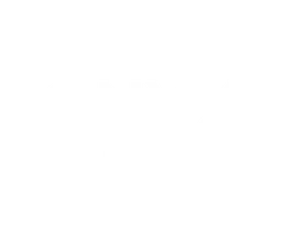 Onyx - Favicon Logo